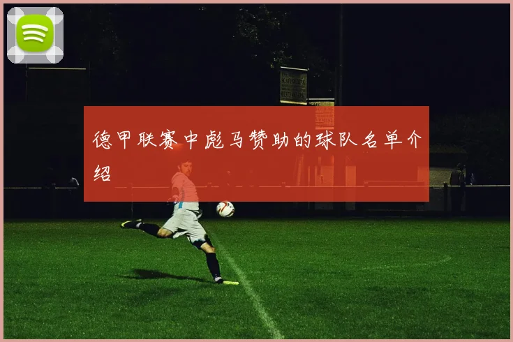 德甲联赛中彪马赞助的球队名单介绍