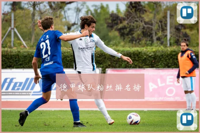 德甲球队粉丝排名榜