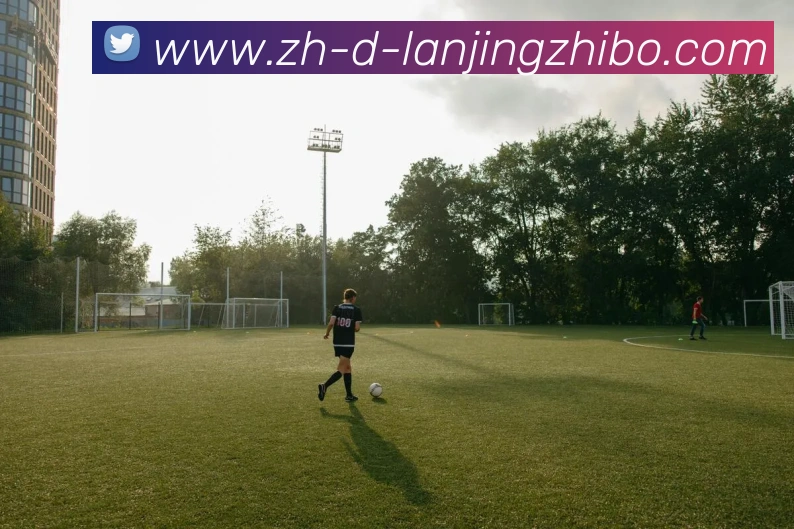 蓝鲸体育品牌故事