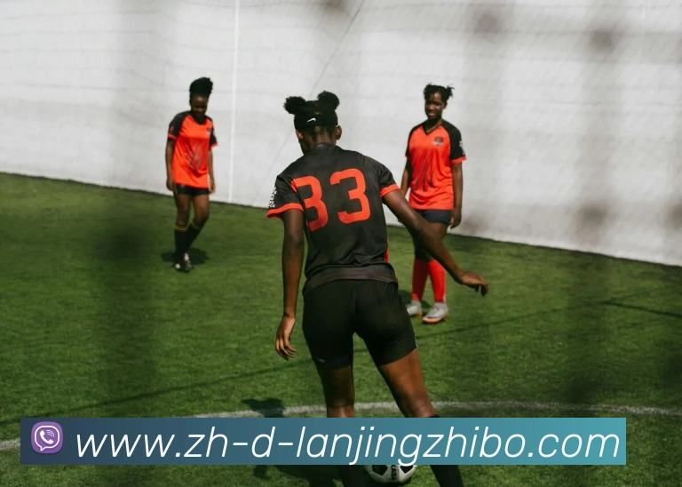 蓝鲸体育服务体系